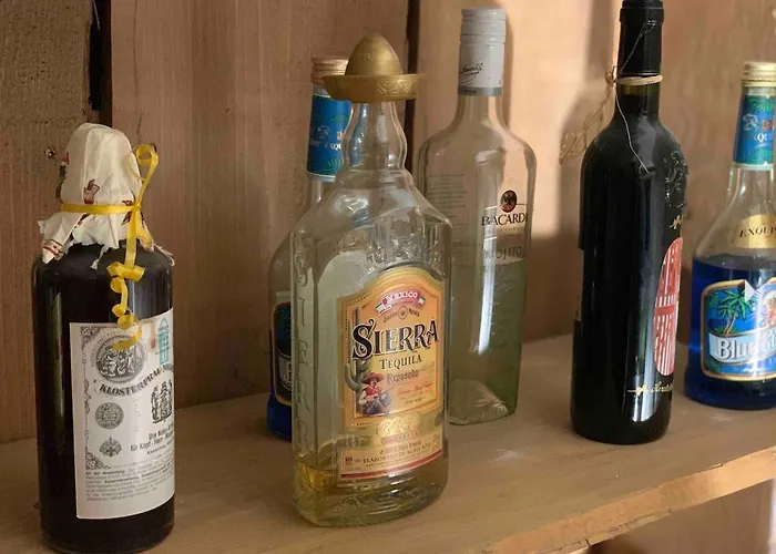 Apartament Wellness Mit Sauna Und Garten Hohenstein-Ernstthal